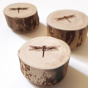 Dragonfly Wood Round Magnet Set of 6